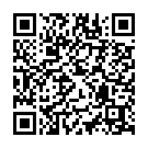 To view this 2012 Ford Transit Connect North Kansas City MO from Drive Now Auto Credit, please scan this QR code with your smartphone or tablet to view the mobile version of this page.