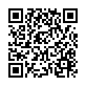 To view this 2008 HYUNDAI SANTA FE North Kansas City MO from Drive Now Auto Credit, please scan this QR code with your smartphone or tablet to view the mobile version of this page.