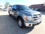 2014 GRAY Ford F-150 XL SuperCrew 5.5-ft. Bed 4WD (1FTFW1EF1EK) with an 5.0L V8 engine, 6-Speed Automatic transmission, located at 2121 Burlington St, North Kansas City, MO, 64116, (816) 556-0707, 39.144707, -94.581978 - Photo#7